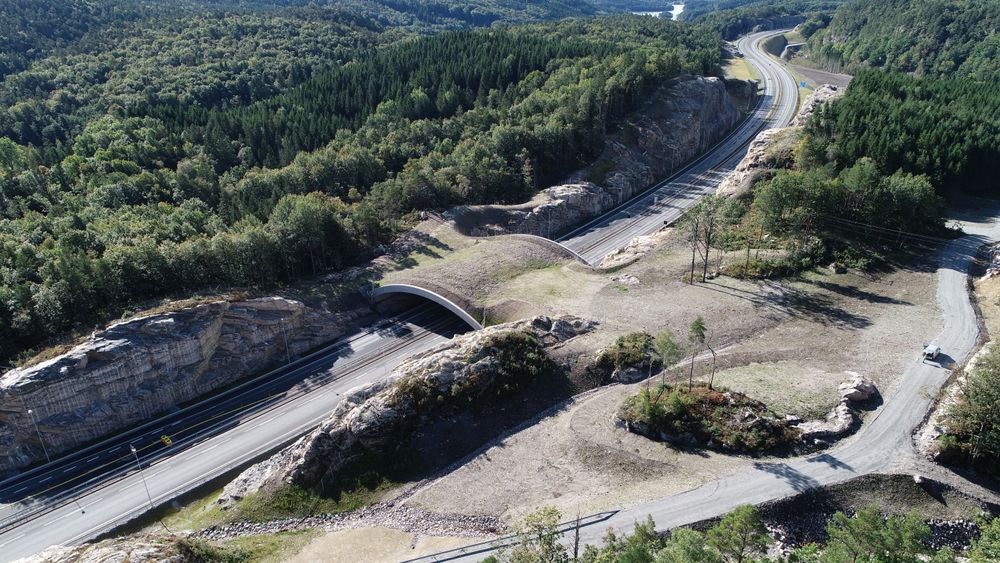 Denne store vilovergangen er ett av eksemplene på miljøtilpassing på veiprosjektet E39 Mandal øst-Mandal by.