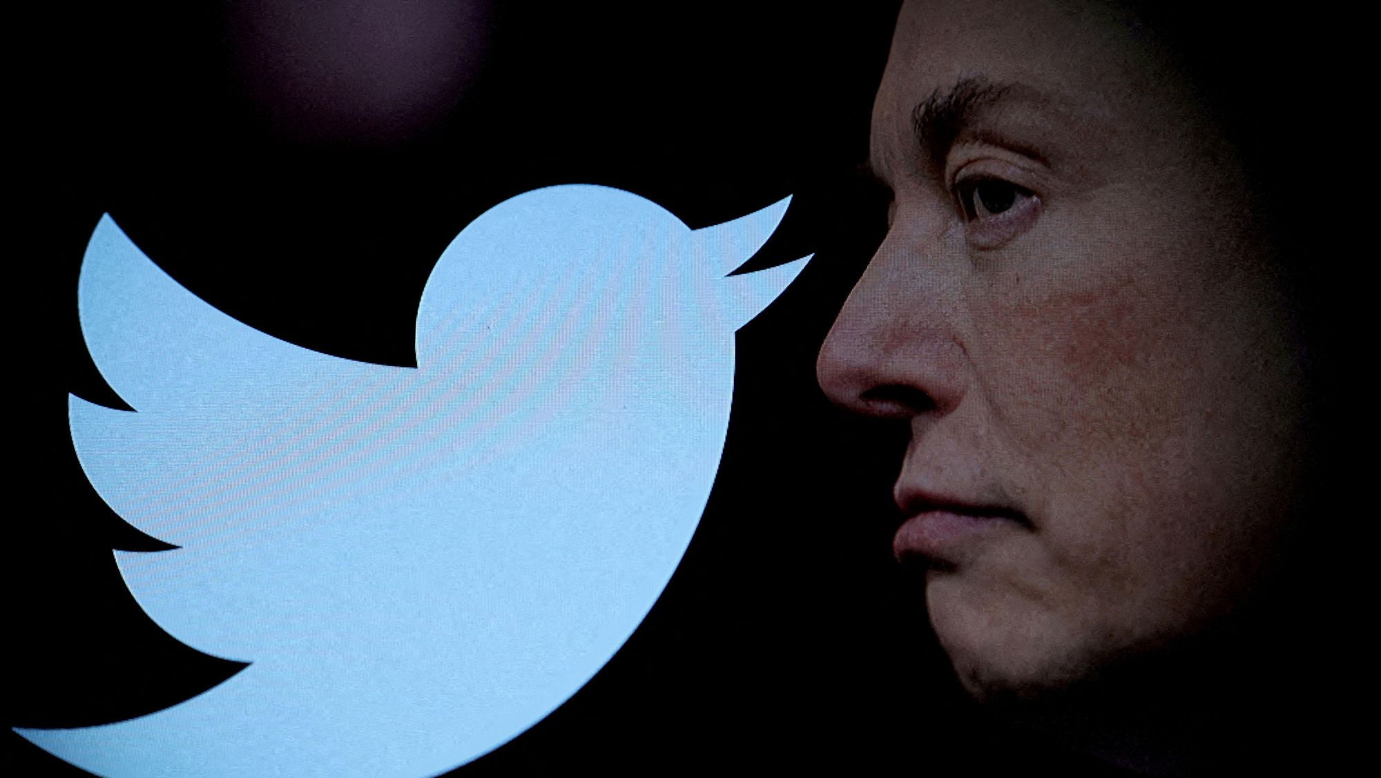 Musk: Twitter-fuglen kvitrer snart ikke mer - Digi.no