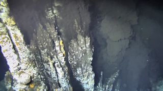 Her spruter svartfarget vann ut med en temperatur på over 300° C. Vannet koker ikke, siden trykket er svært høyt på slike vanndybder over 2500 meter. Vannet er svart fordi det er metallrikt på grunn av kjemiske reaksjoner mellom vannet og bergartene under.