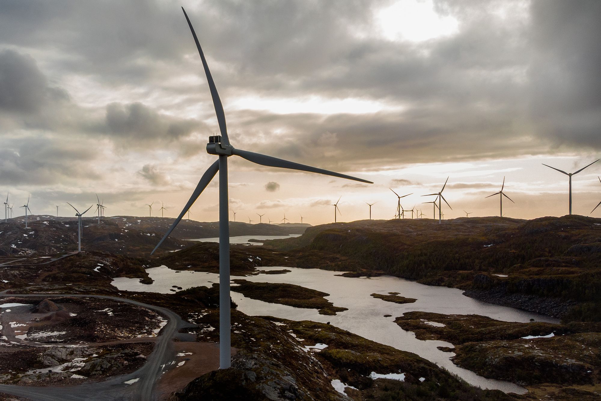 How Do Wind Turbines Survive Severe Storms?