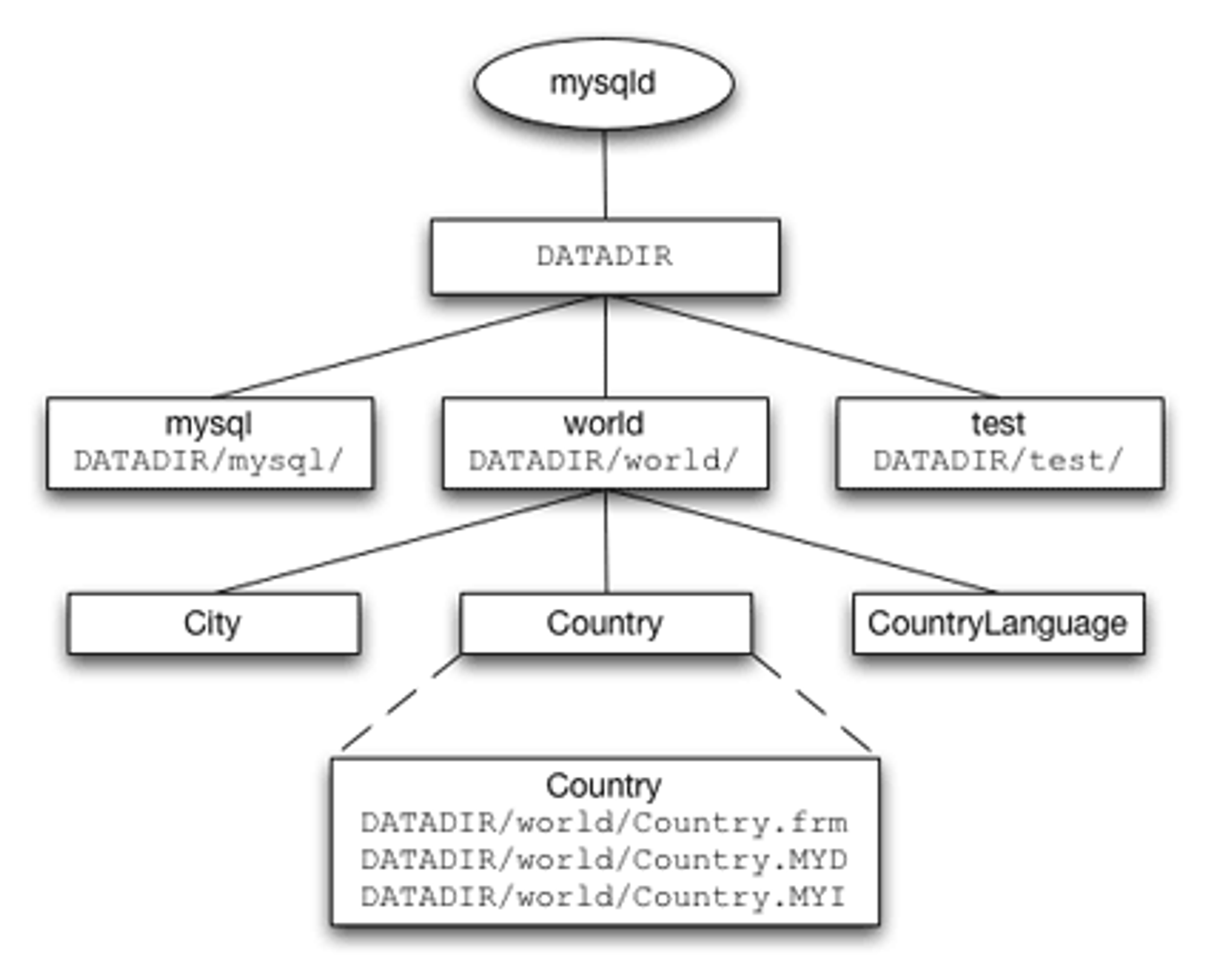 Engine files mysql